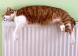 Устройство системы отопления загородных домов