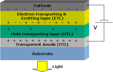 OLED